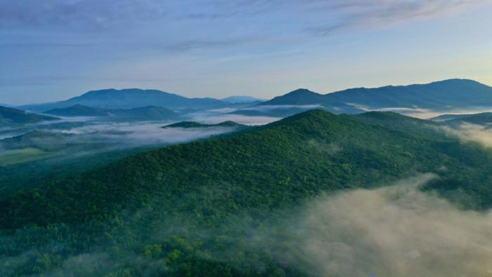 吉林省森林生态服务功能价值8899亿元