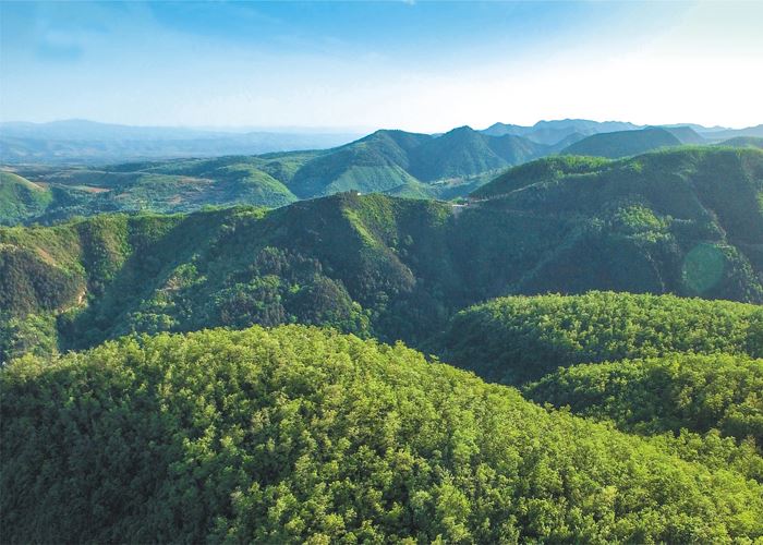 陕西省着力提升森林质量　加快推动“浅绿色”向“深绿色”转变