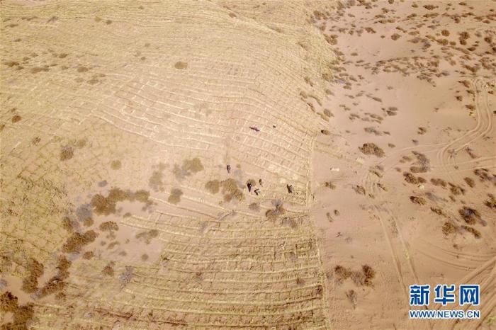 春季治沙正当时 春季治沙正当时