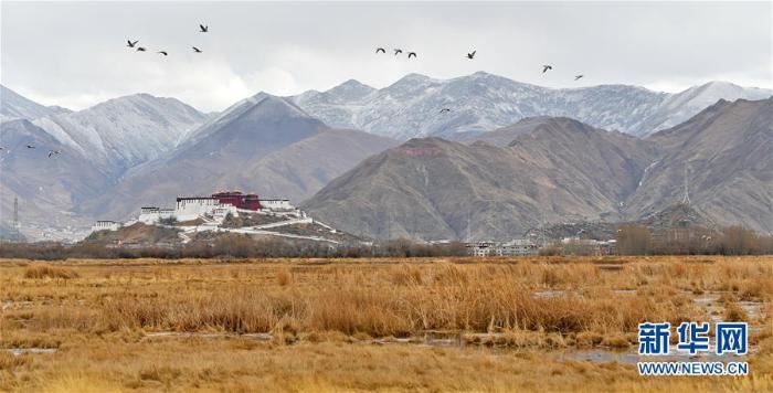 保护好雪域高原，筑牢国家生态安全屏障