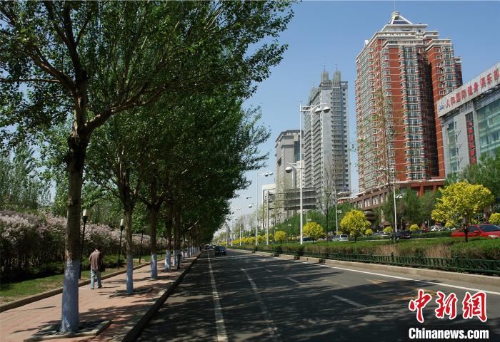 黑龙江力推植树造林：2019年完成造林117万亩