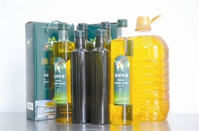 [树木传奇]油茶：木本油料之王