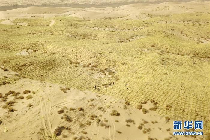 春季治沙正当时 春季治沙正当时