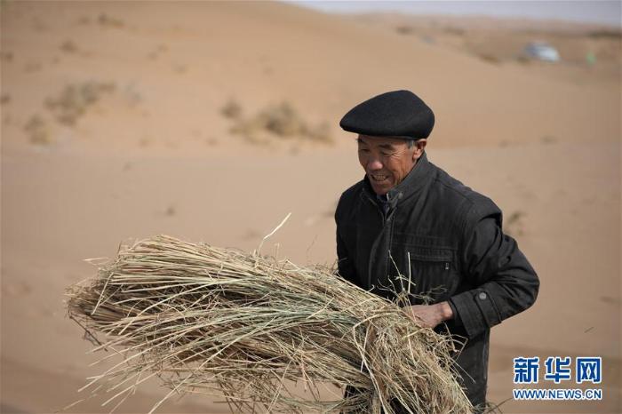 春季治沙正当时 春季治沙正当时