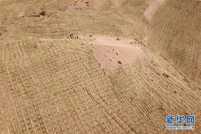 春季治沙正当时 春季治沙正当时