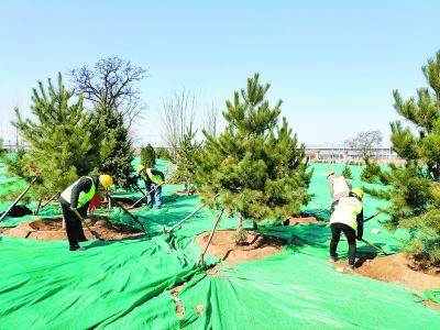 2020年北京市将绿化造林20万亩