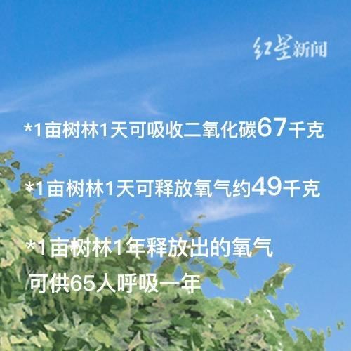 关于树，你需要知道的那些事