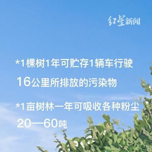 关于树，你需要知道的那些事