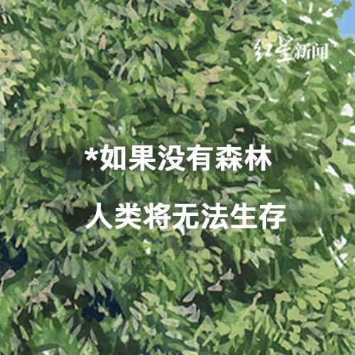 关于树，你需要知道的那些事