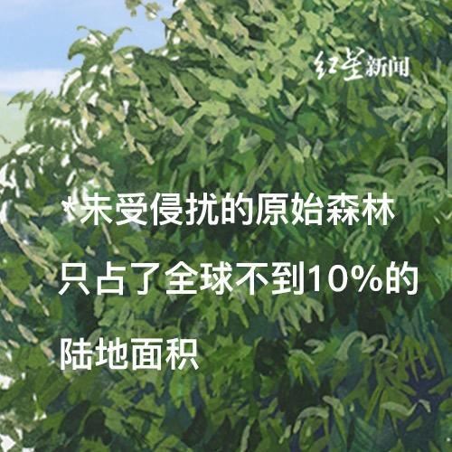 关于树，你需要知道的那些事