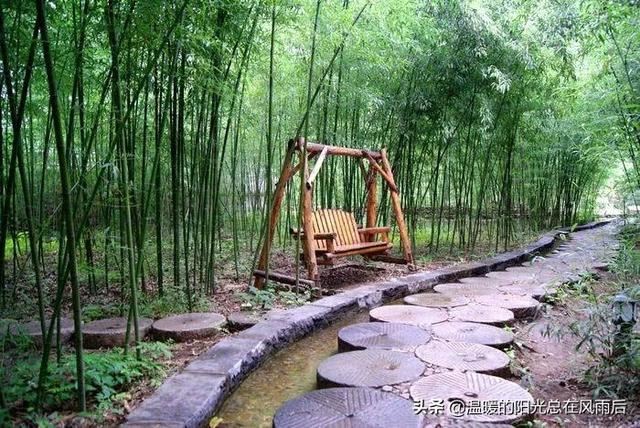 在农村院子里适合种植这五种树，养人镇宅