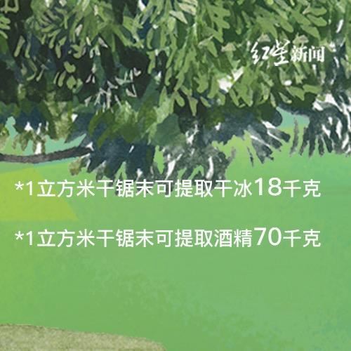 关于树，你需要知道的那些事