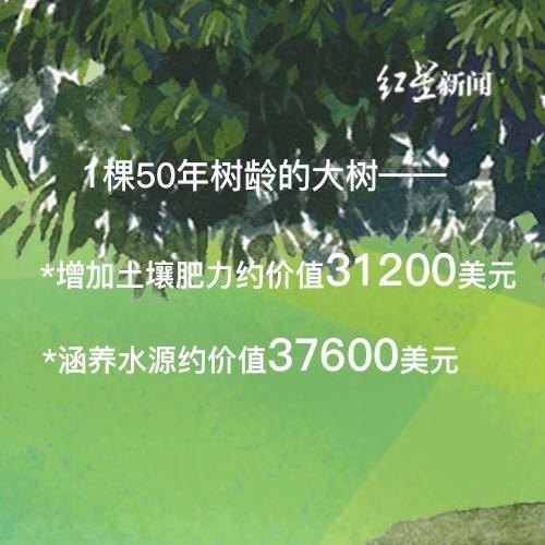 关于树，你需要知道的那些事