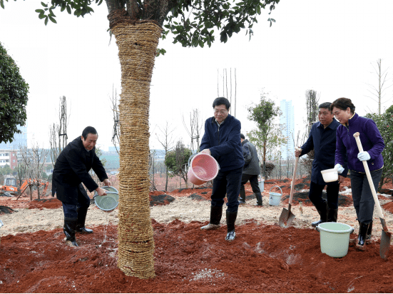 湖南省领导参加义务植树活动 湖南省领导参加义务植树活动