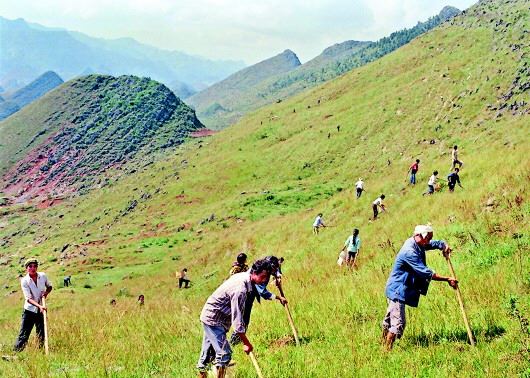 让绿色拥抱贵州山川大地 让绿色拥抱贵州山川大地