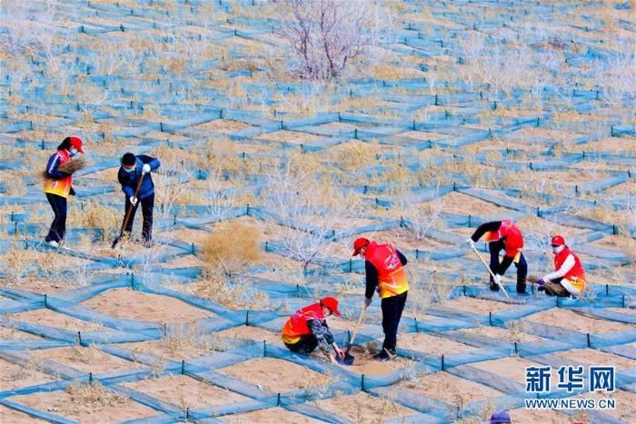 春季植树正当时