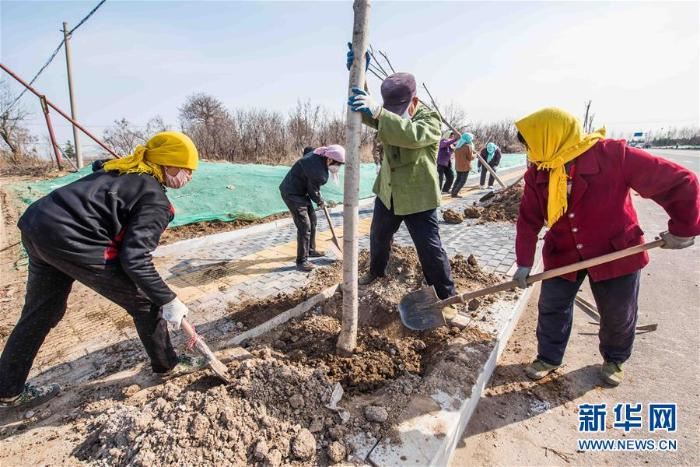 春季植树正当时