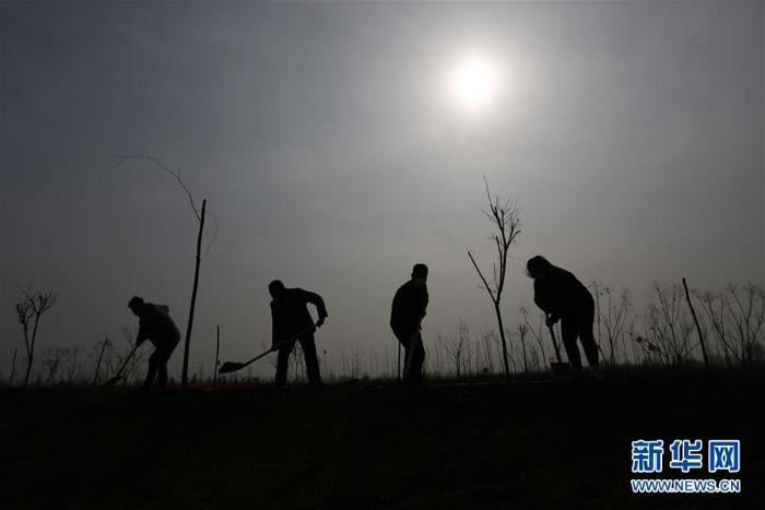 春季植树正当时