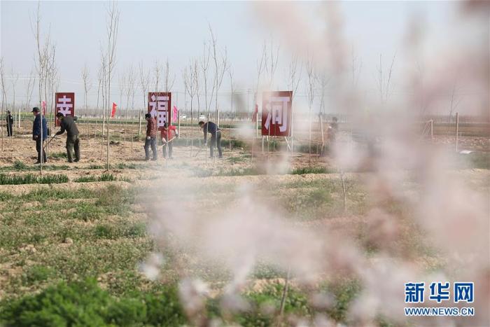 春季植树正当时