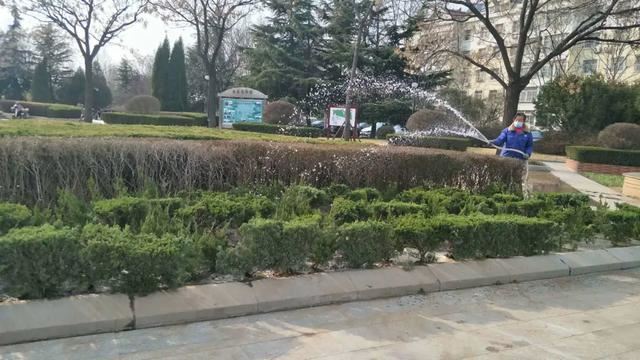 【园林绿化】县园林处开展春季裸露地补植