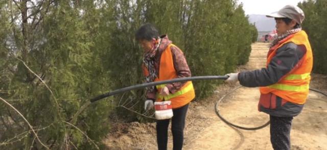 绿化正当时，涉县高速长廊植树忙