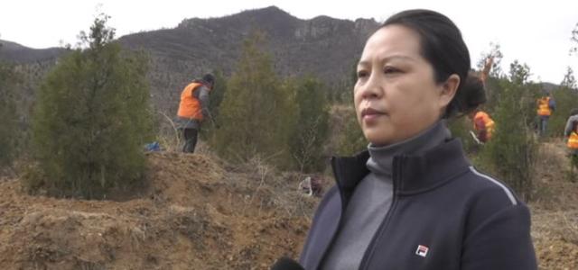 绿化正当时，涉县高速长廊植树忙