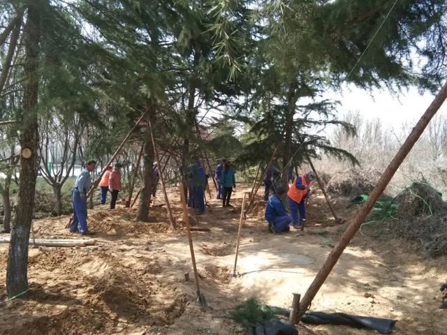 【园林绿化】县园林处开展春季裸露地补植