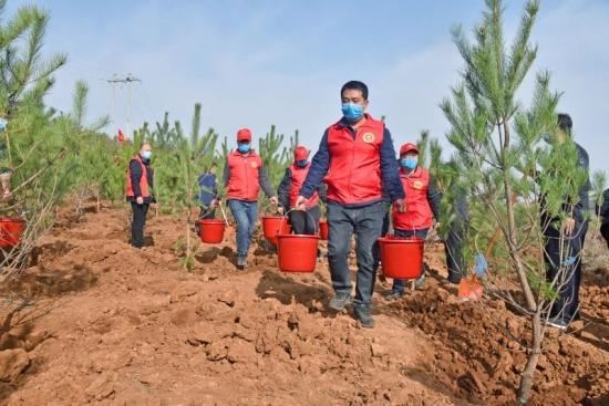 战“疫”绿化两不误，植树造林正当时，宜阳县全面掀起春季植树造林热潮
