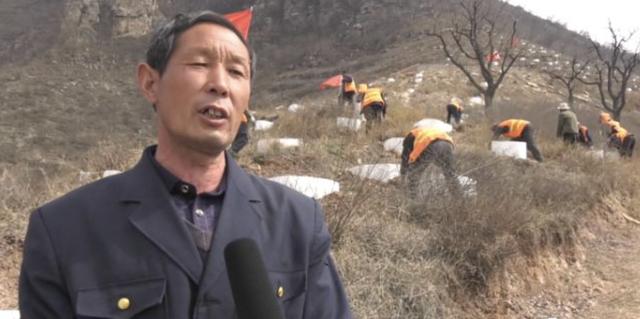 绿化正当时，涉县高速长廊植树忙