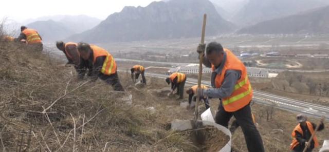 绿化正当时，涉县高速长廊植树忙