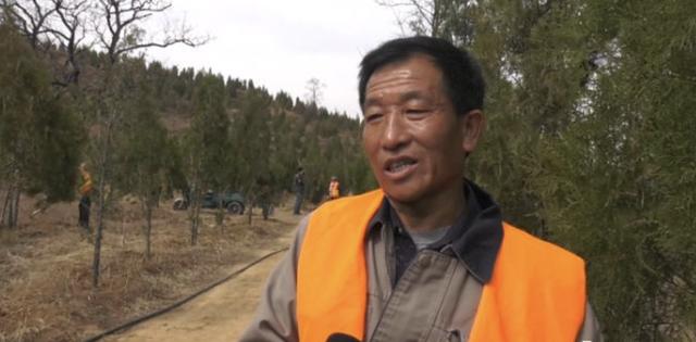 绿化正当时，涉县高速长廊植树忙