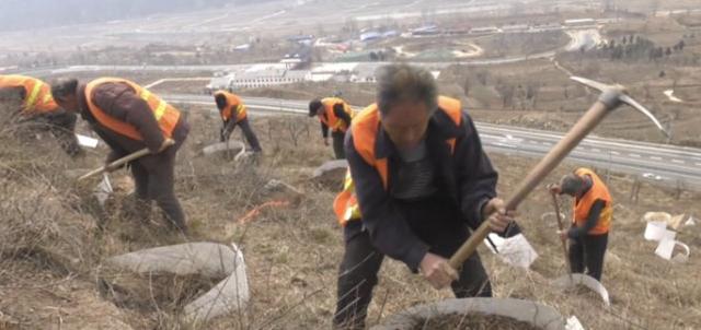 绿化正当时，涉县高速长廊植树忙