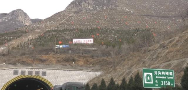 绿化正当时，涉县高速长廊植树忙