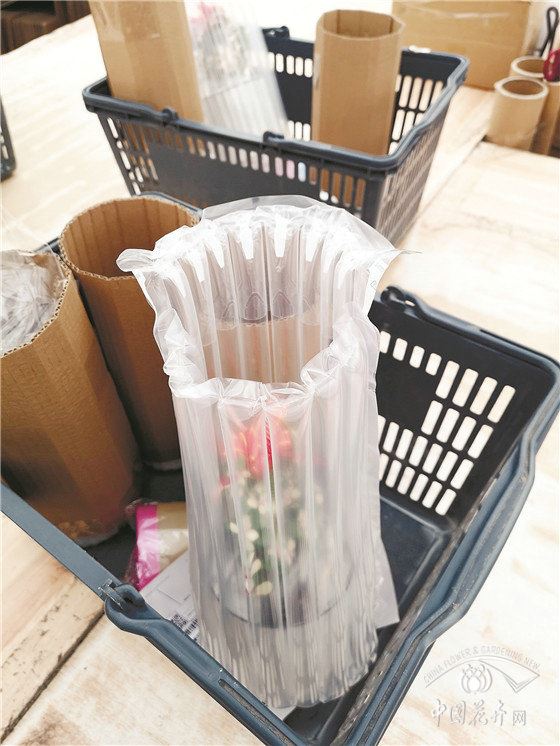 醒醒吧花卉生产商电商不是临阵的枪 