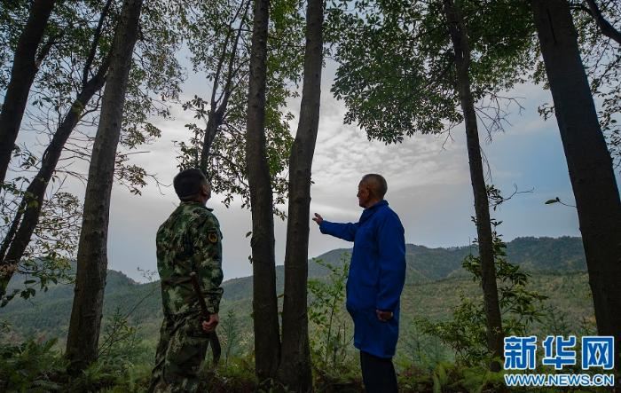 [最美林业故事]父与子的传承：六十余载守望绿水青山