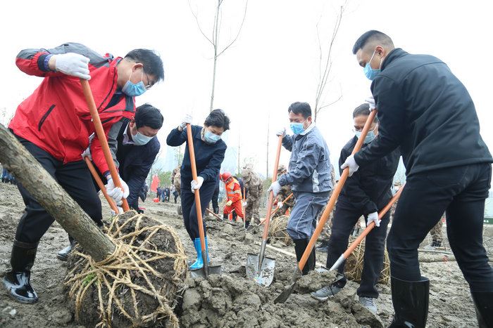 浙江省领导带头参加义务植树劳动