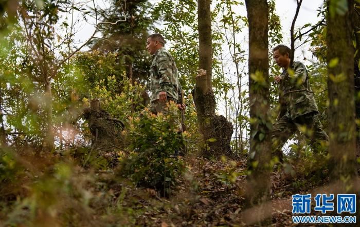 [最美林业故事]父与子的传承：六十余载守望绿水青山