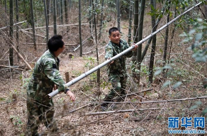 [最美林业故事]父与子的传承：六十余载守望绿水青山