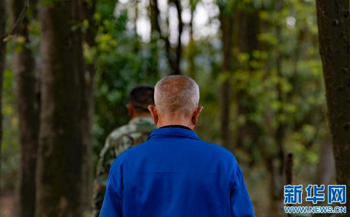 [最美林业故事]父与子的传承：六十余载守望绿水青山