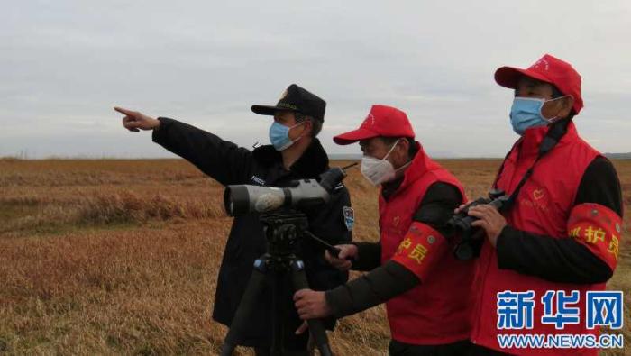 [最美林业故事]鄱阳湖候鸟的“守护者”