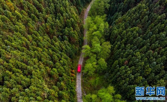 [最美林业故事]父与子的传承：六十余载守望绿水青山