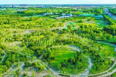 北京城市副中心创建国家森林城市已进入冲刺阶段