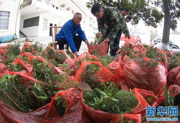 [最美林业故事]父与子的传承：六十余载守望绿水青山