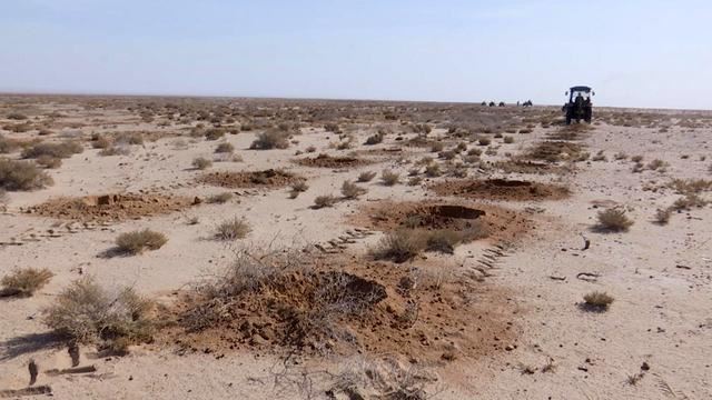 疫情不误“添绿”：中国北方着力推进国土绿化