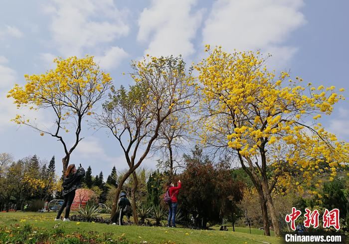 珠三角国家森林城市群崛起:挡不住的春暖花开 珠三角国家森林城市群崛起:挡不住的春暖花开
