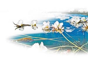 云南——野生动植物安居乐土