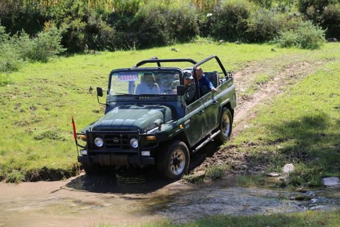 [最美林业故事]太行山脚下的野生动物守护者