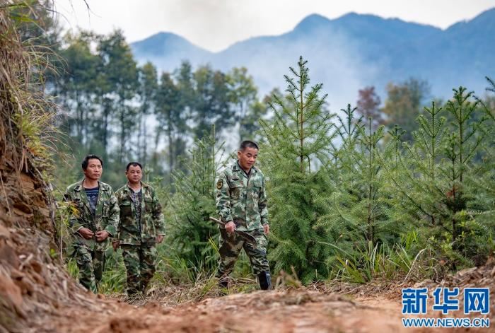 [最美林业故事]父与子的传承：六十余载守望绿水青山