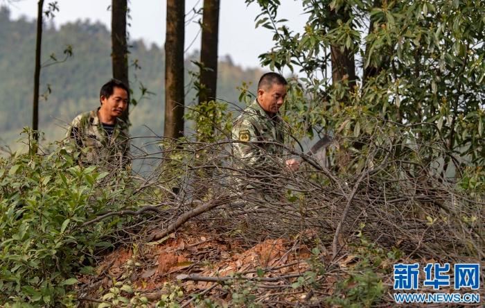 [最美林业故事]父与子的传承：六十余载守望绿水青山