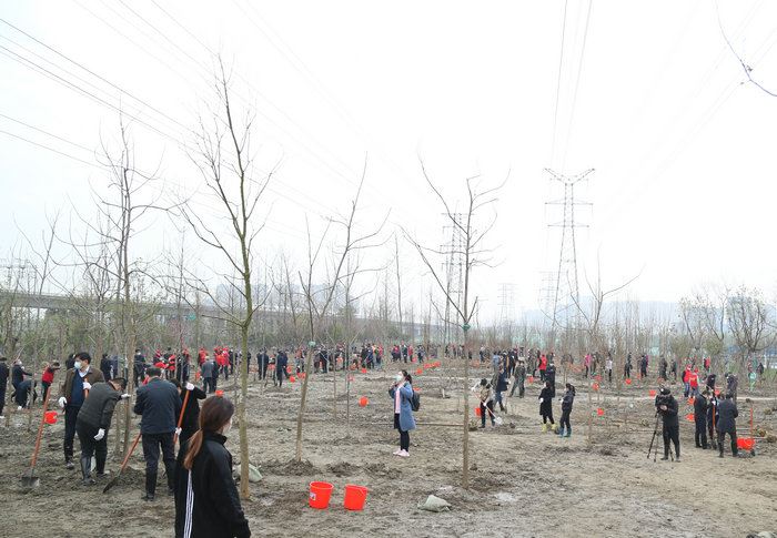 浙江省领导带头参加义务植树劳动